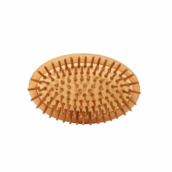 Wooden Bristle Brush